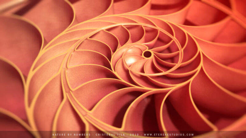 Fibonacciho postupnosť a zlatý rez v prírode